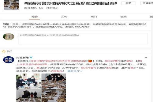 绥芬河媒体爆料最新消息,媒体披露惊人内幕,事件真相令人震惊! 第1张 绥芬河媒体爆料最新消息,媒体披露惊人内幕,事件真相令人震惊! 第1张