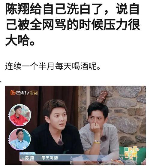 陈翔助理爆料视频大全集,揭秘明星幕后故事  第2张